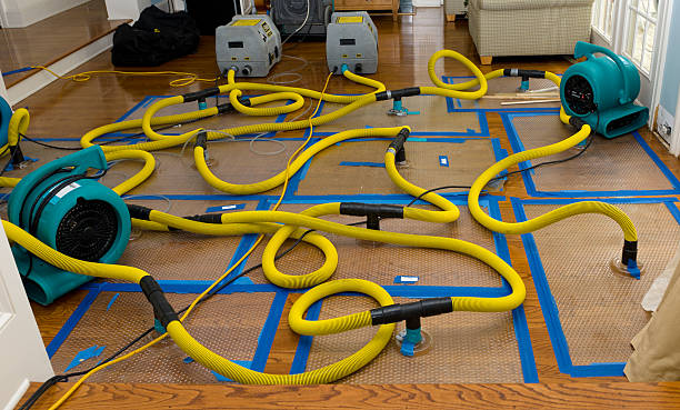 Professional Basement Flood Cleanup technician working in Portland, OR